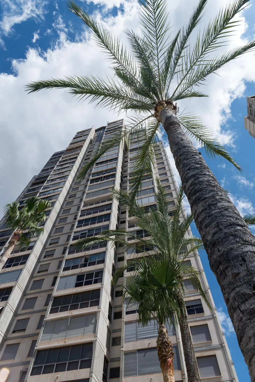 General view, Apartamentos Gemelos  20, Costa Blanca
