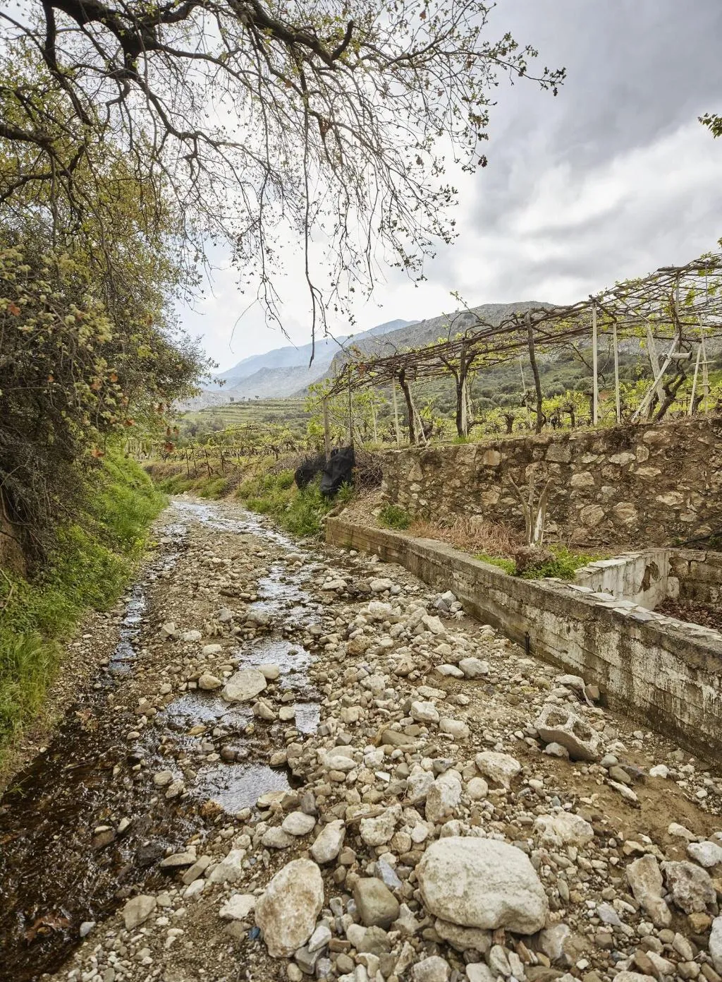 General view, Earino, Crete