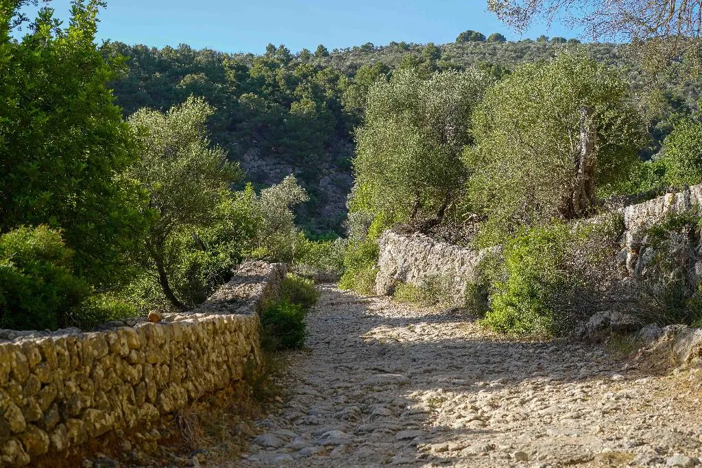 Sports and Entertainment, Hotel Rural S'Olivaret, Majorca