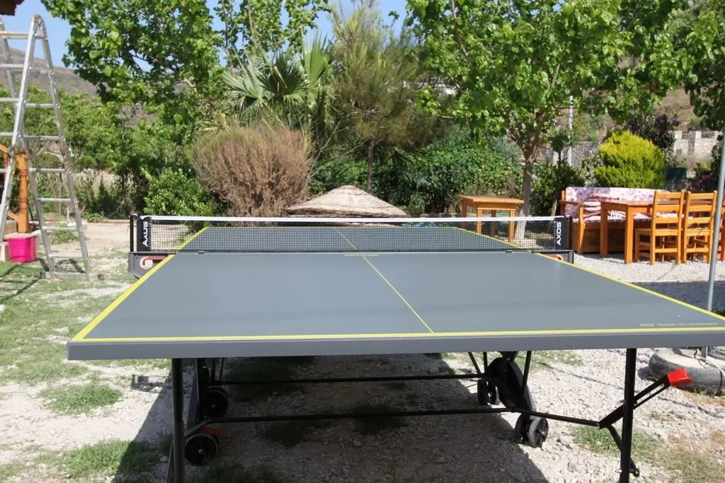 Sports and Entertainment, Elly's Home, Dalaman