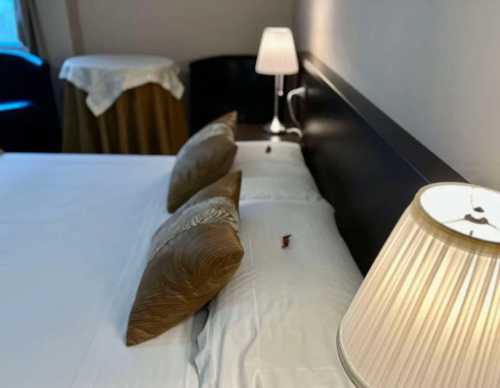 Room, Hotel Malpensa Inn, Milan