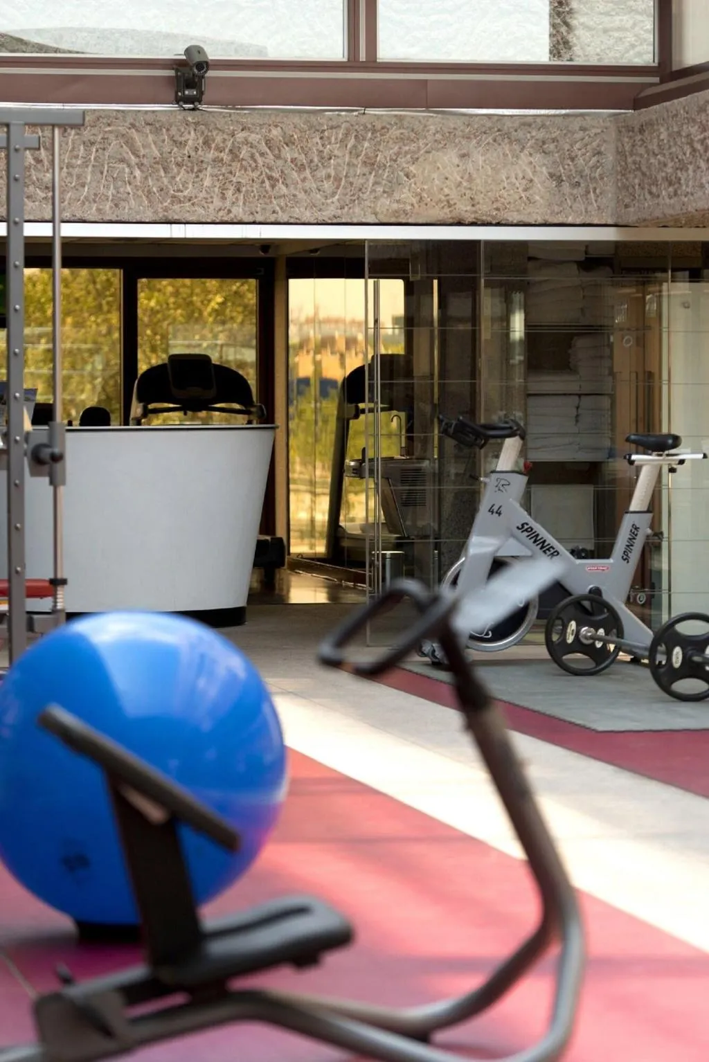 Sports and Entertainment, Hilton Madrid Airport, Madrid