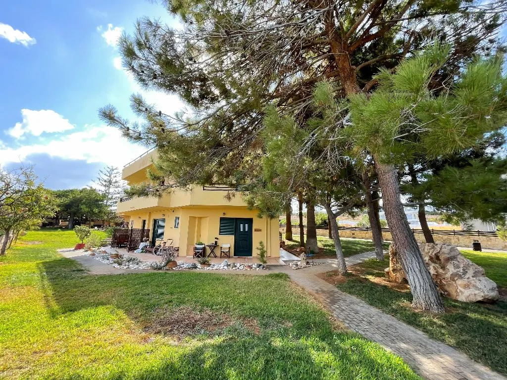 Terrace, Kreta Natur, Crete