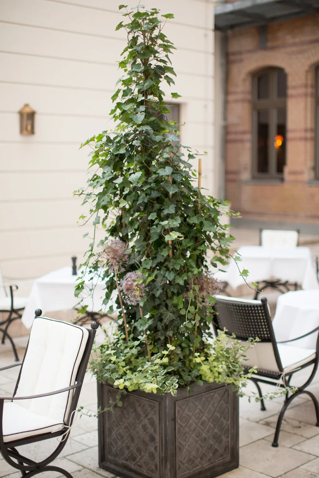 Terrace, monbijou hotel, Berlin