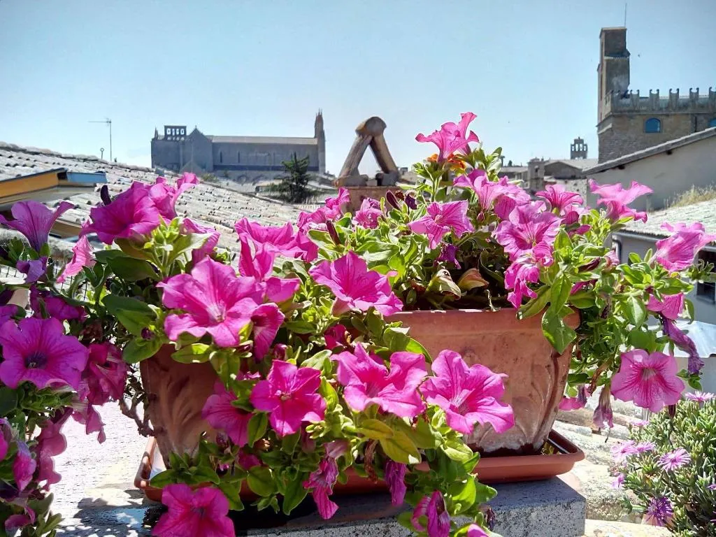 Terrace, Orvieto In Terrazza, Perugia