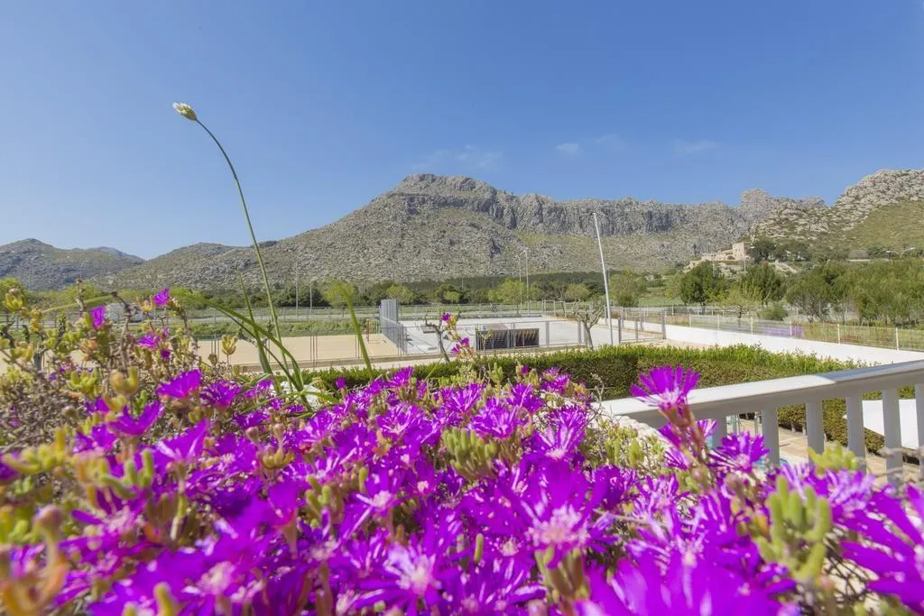 Sports and Entertainment, Apartamentos Massol, Majorca