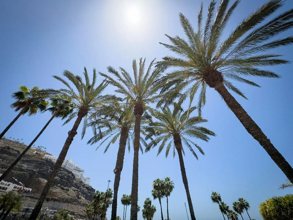 Beach, Holiday Club Playa Amadores, Gran Canaria