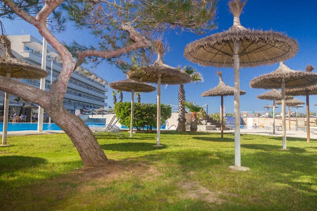 Terrace, Eix Platja Daurada Hotel & SPA, Majorca