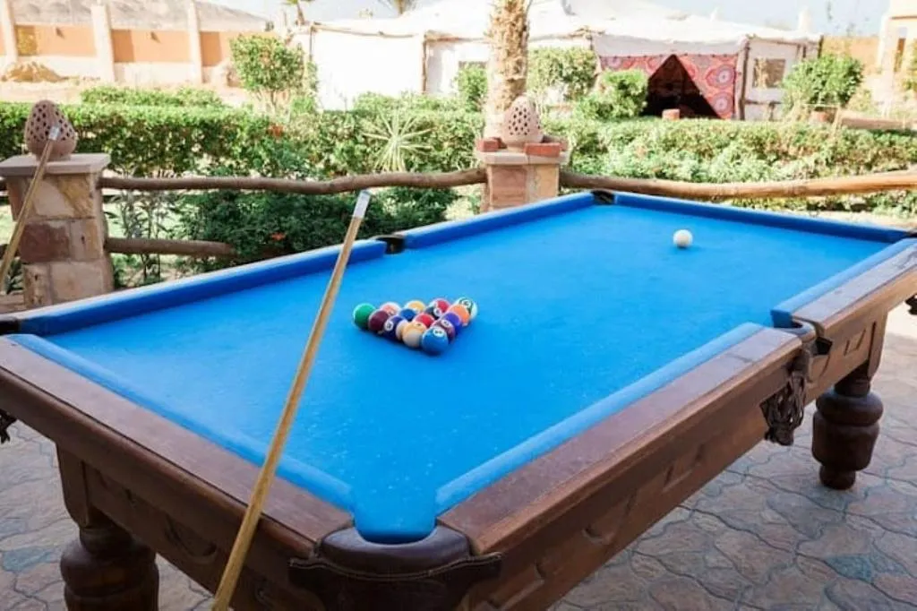 Sports and Entertainment, Silver Beach Boutique Hotel, Red Sea Riviera
