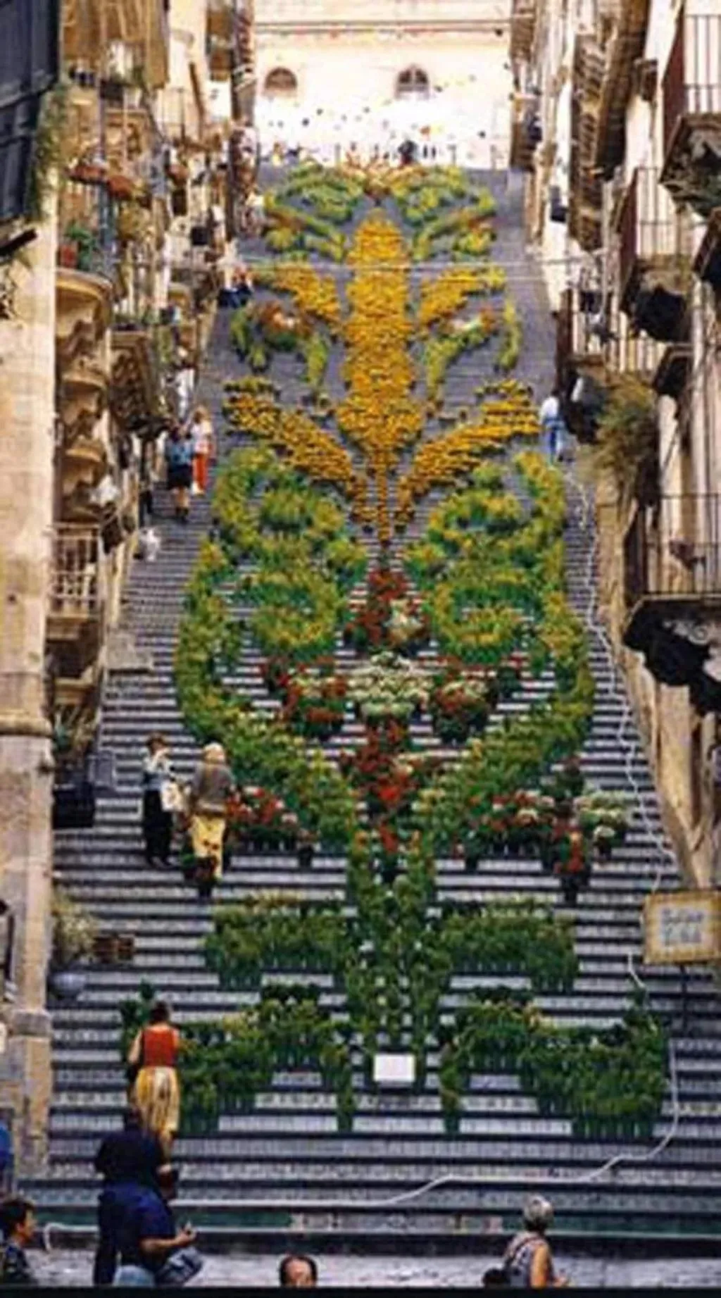General view, La Rosa Antica, Catania