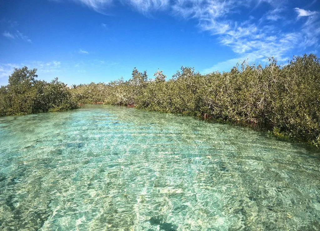 Beach, Mangrove Bay Resort, Red Sea Riviera