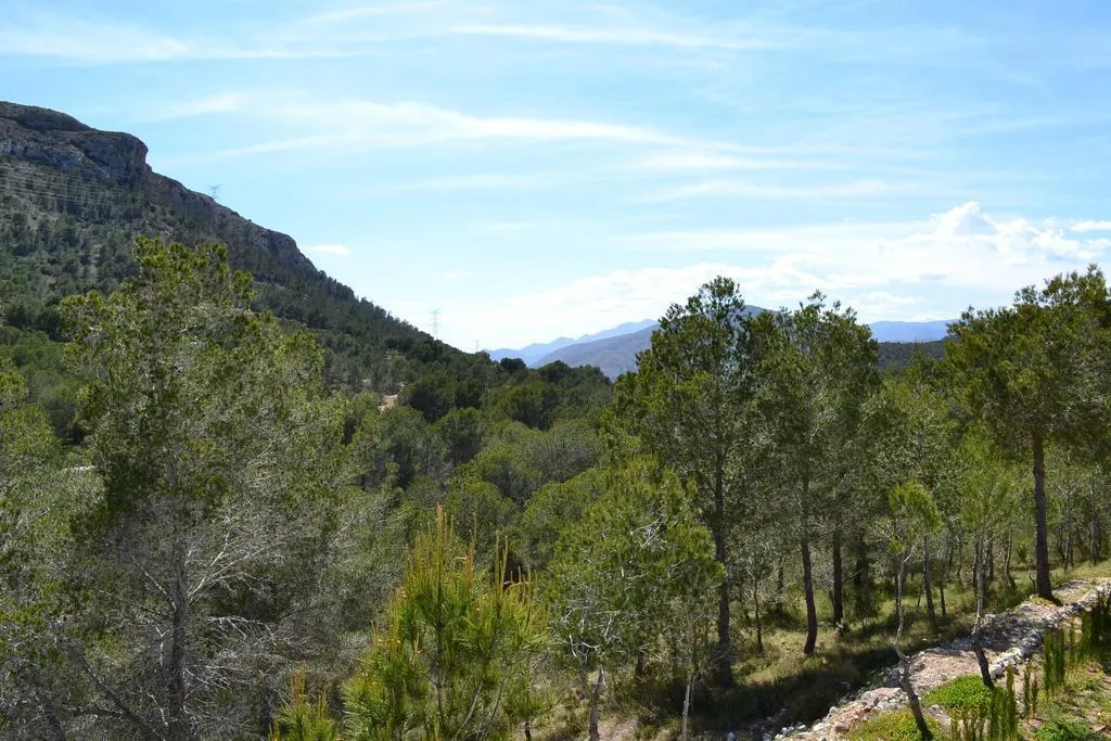 General view, Finca Fabiola, Costa Blanca