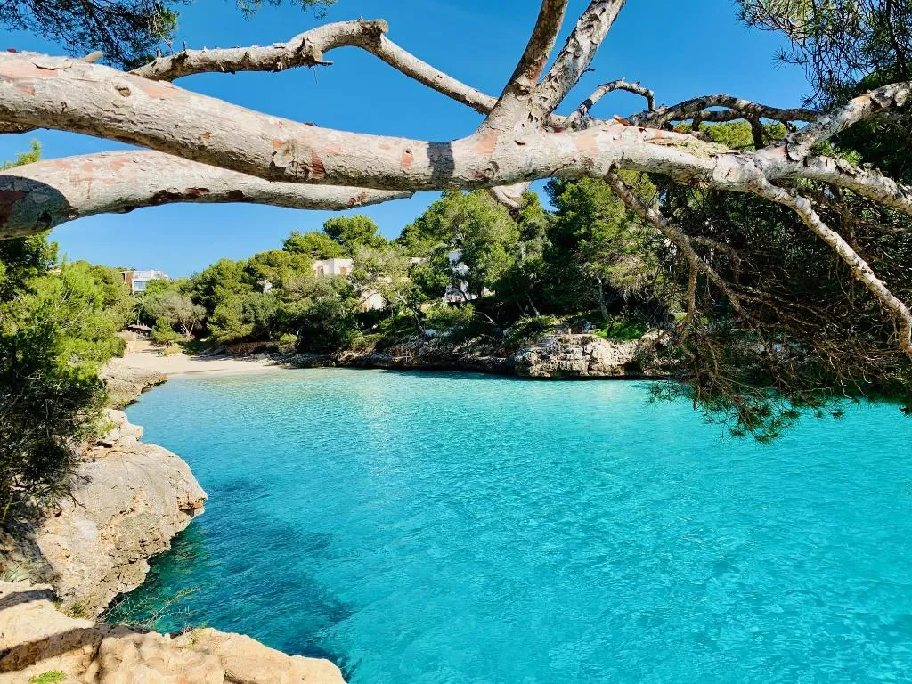 Beach, Playa Ferrera, Majorca