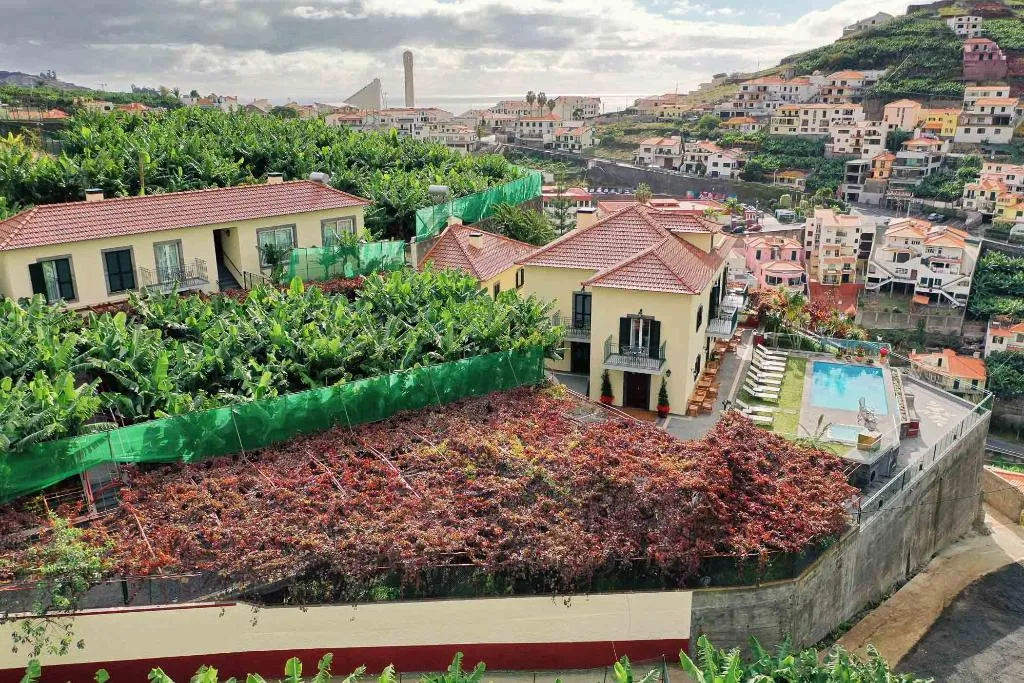 General view, Quinta Da Saraiva, Madeira