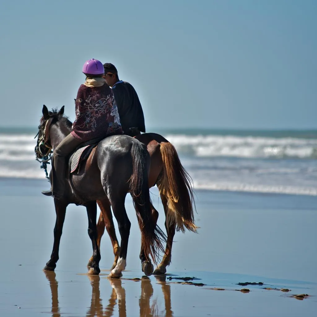 Sports and Entertainment, Dar L'Oussia, Essaouira