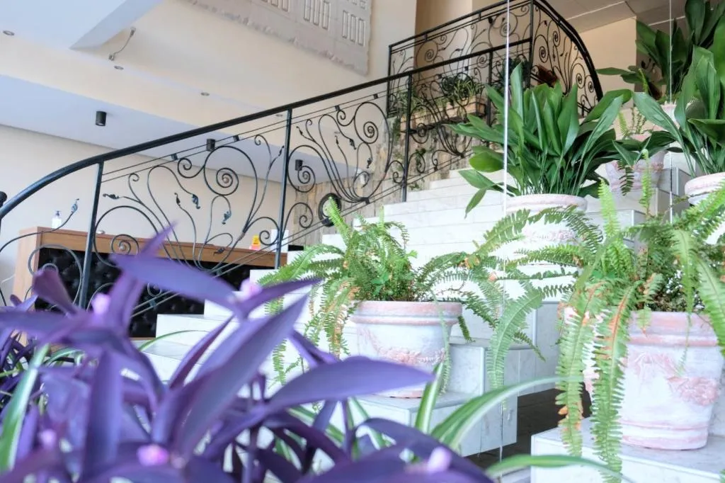 Lobby, Lotus, Bourgas