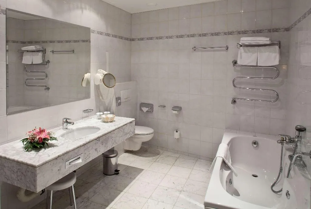 Room, Ambassador Zlata Husa, Prague