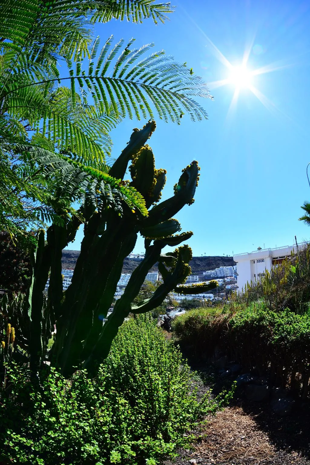 General view, Puerto Bello Apartamentos, Gran Canaria