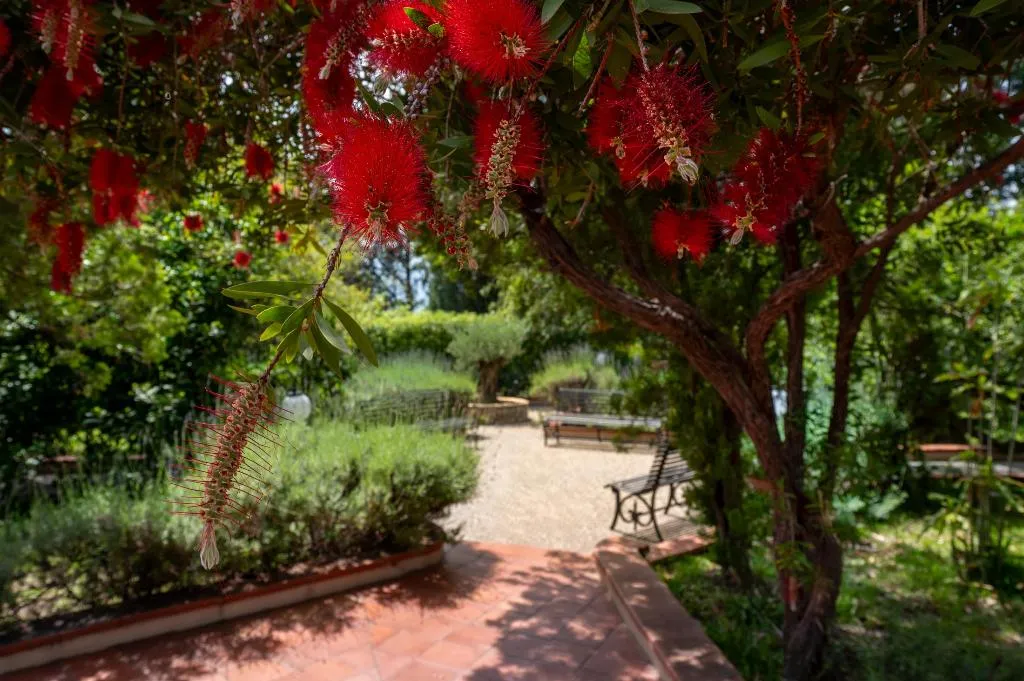 Terrace, Excelsior Palace, Taormina