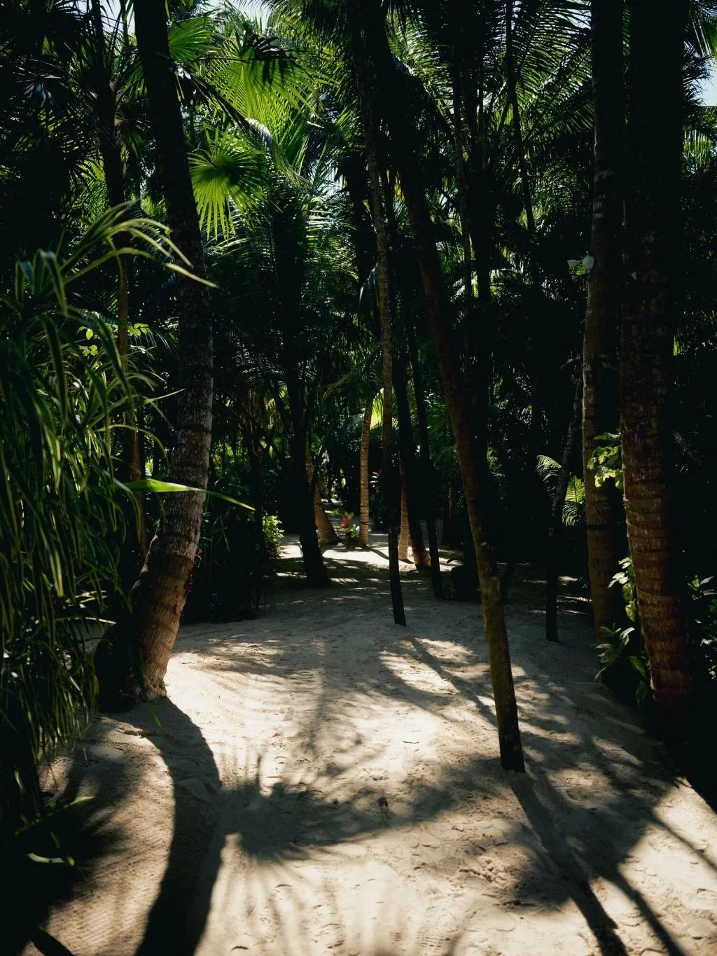 General view, Nômade Temple Tulum, Cancun Area