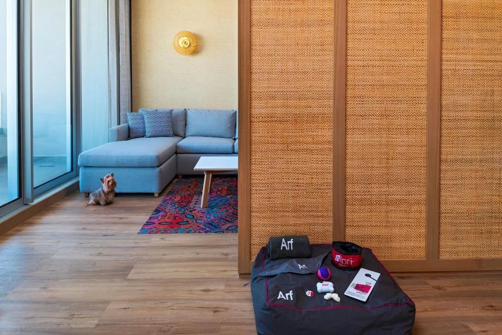 Room, Aloft Playa Del Carmen, Playa Del Carmen