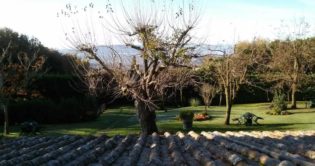 General view, Colle Etrusco Salivolpi, Florence