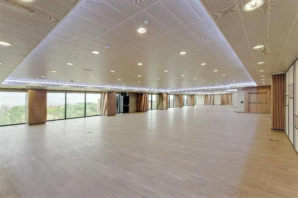 Conferences, Melia Avenida America, Madrid