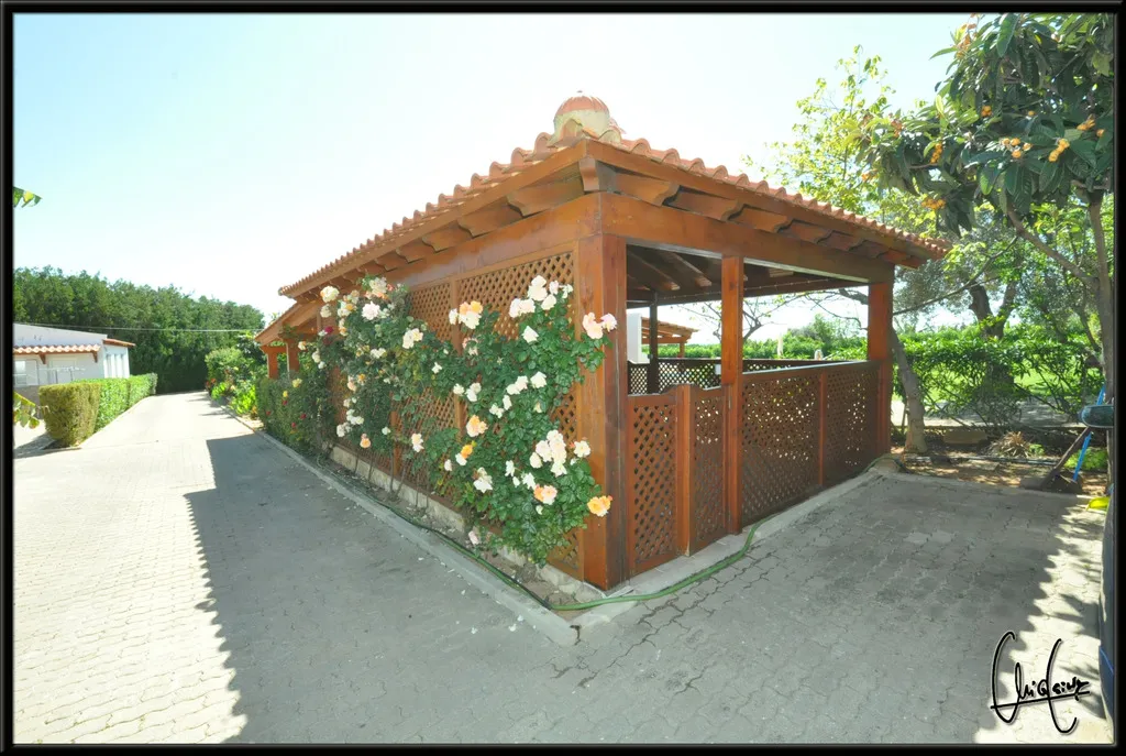 Bar, Flor da Laranja, Algarve