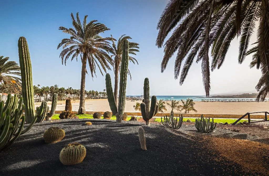 General view, Barcelo Fuerteventura Royal Level adults only, Fuerteventura