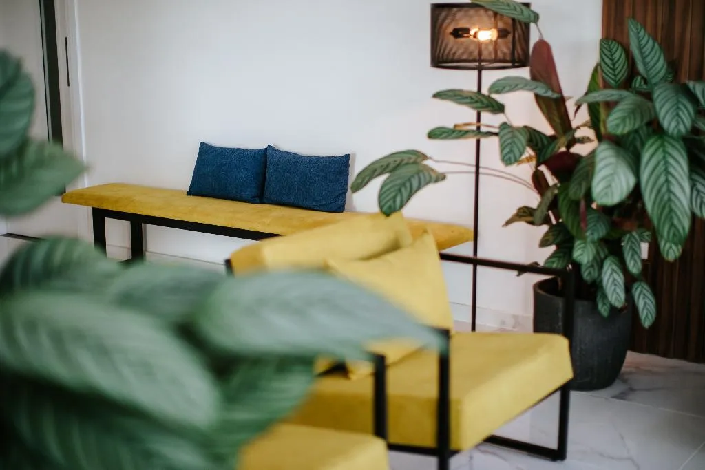 Lobby, Cosmo Napa Boutiuqe Hotel, Cyprus