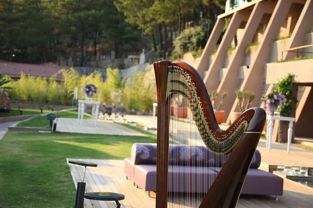 Sports and Entertainment, Marti Hemithea, Dalaman