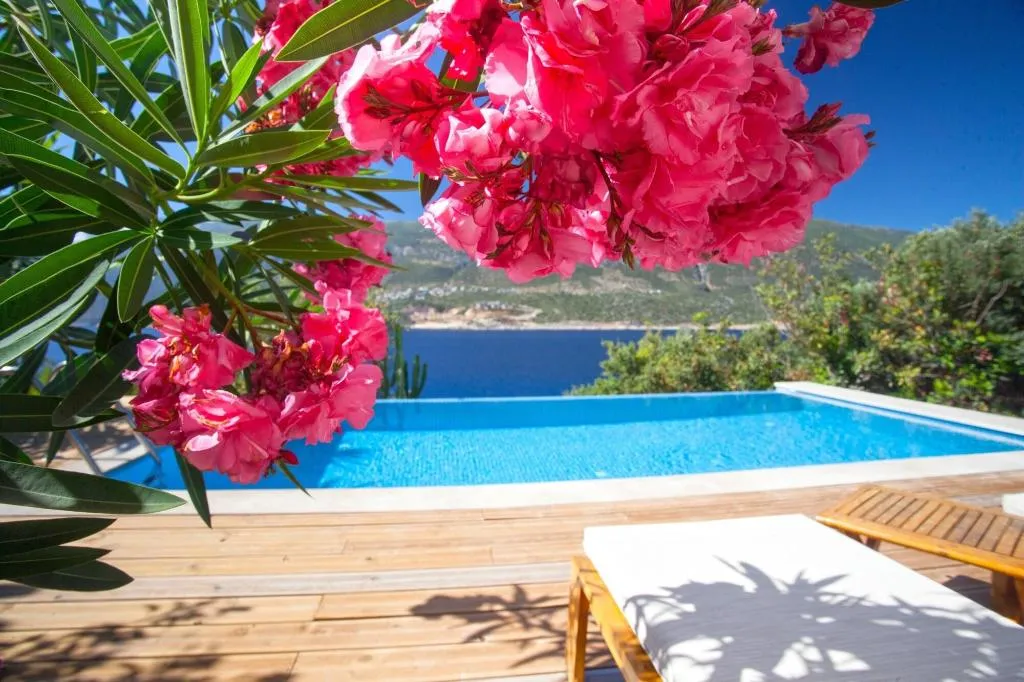Room, Deniz Feneri Lighthouse +12 ADULT ONLY, Dalaman