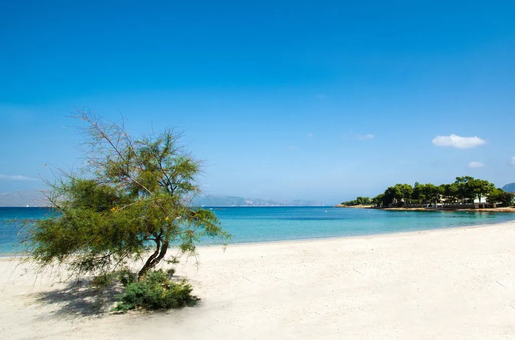 Beach, More, Majorca