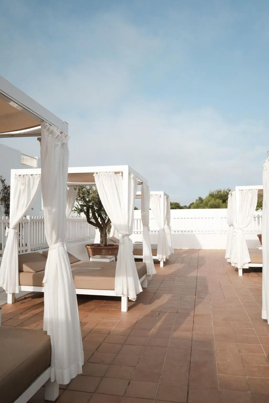 Terrace, Prinsotel Alba Hotel Apartamentos, Majorca