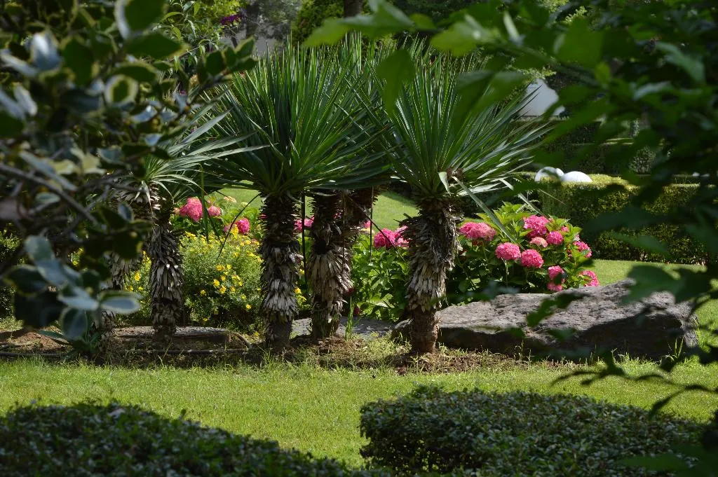 Terrace, Oasis Resort & Spa, Bourgas