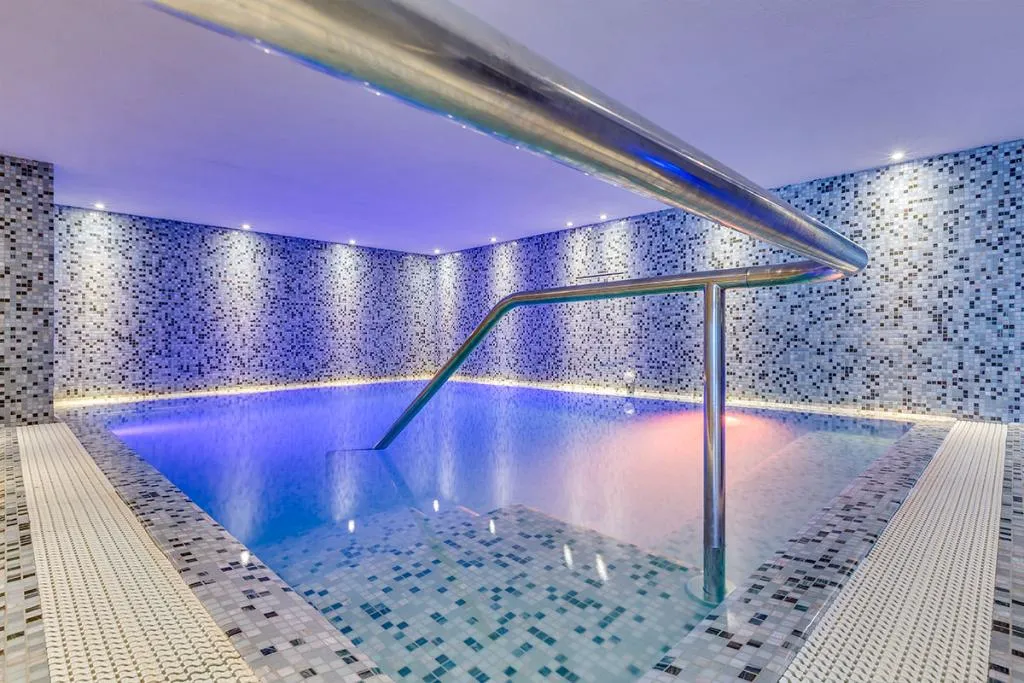Pool, Hotel Ambassador, Venice