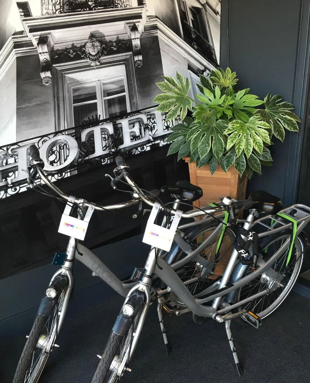 Sports and Entertainment, Citiez Hotel Amsterdam, Amsterdam
