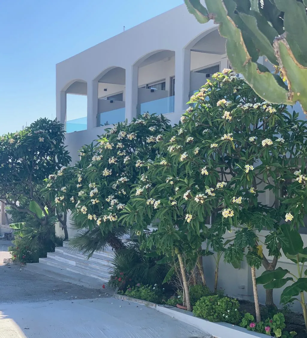 General view, PALS Studios Pefkos, Rhodes