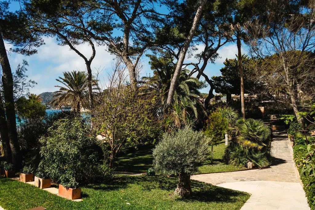 Beach, Secrets Mallorca Villamil Resort & Spa Only Adults, Majorca