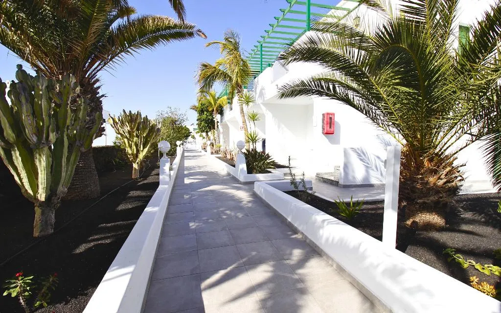 General view, Aloe, Lanzarote