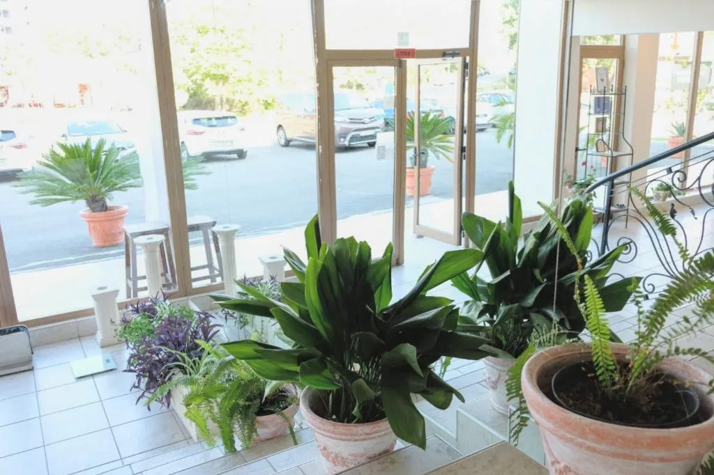 Lobby, Lotus, Bourgas