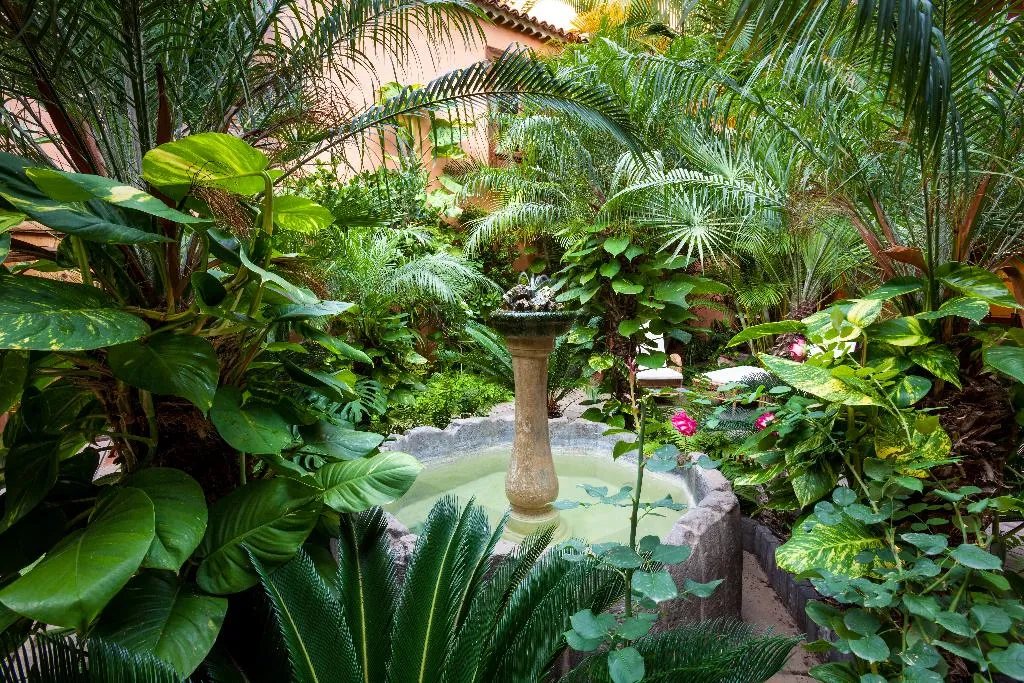General view, Hotel LIVVO La Quinta Roja, Tenerife