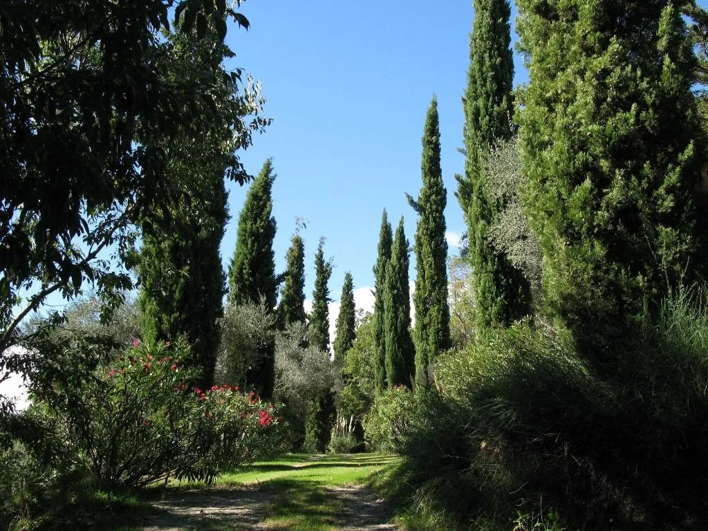 General view, Can Serola, Costa Brava