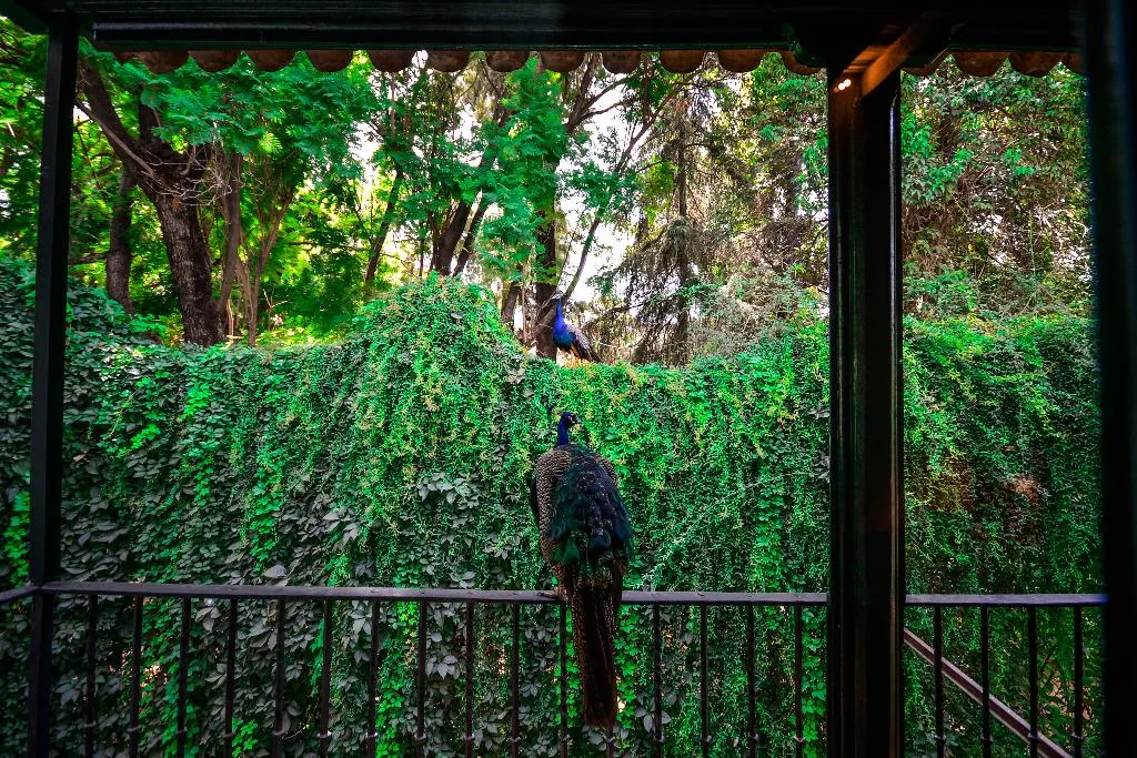 DOUBLE DELUXE ONE BED Room, Legado Alcazar, Seville