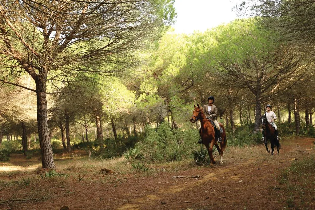 Sports and Entertainment, SO/ Sotogrande Spa & Golf Resort Hotel, Costa Del Sol
