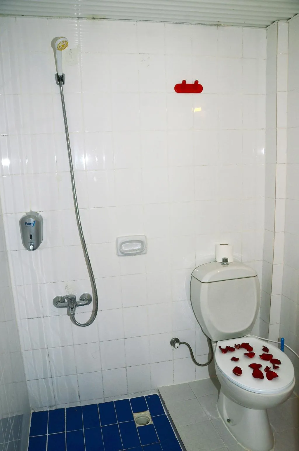 DOUBLE SINGLE USE STANDARD Room, Saygili Beach Hotel, Antalya