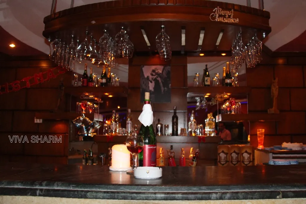 Bar, Viva Sharm Hotel, Red Sea Riviera