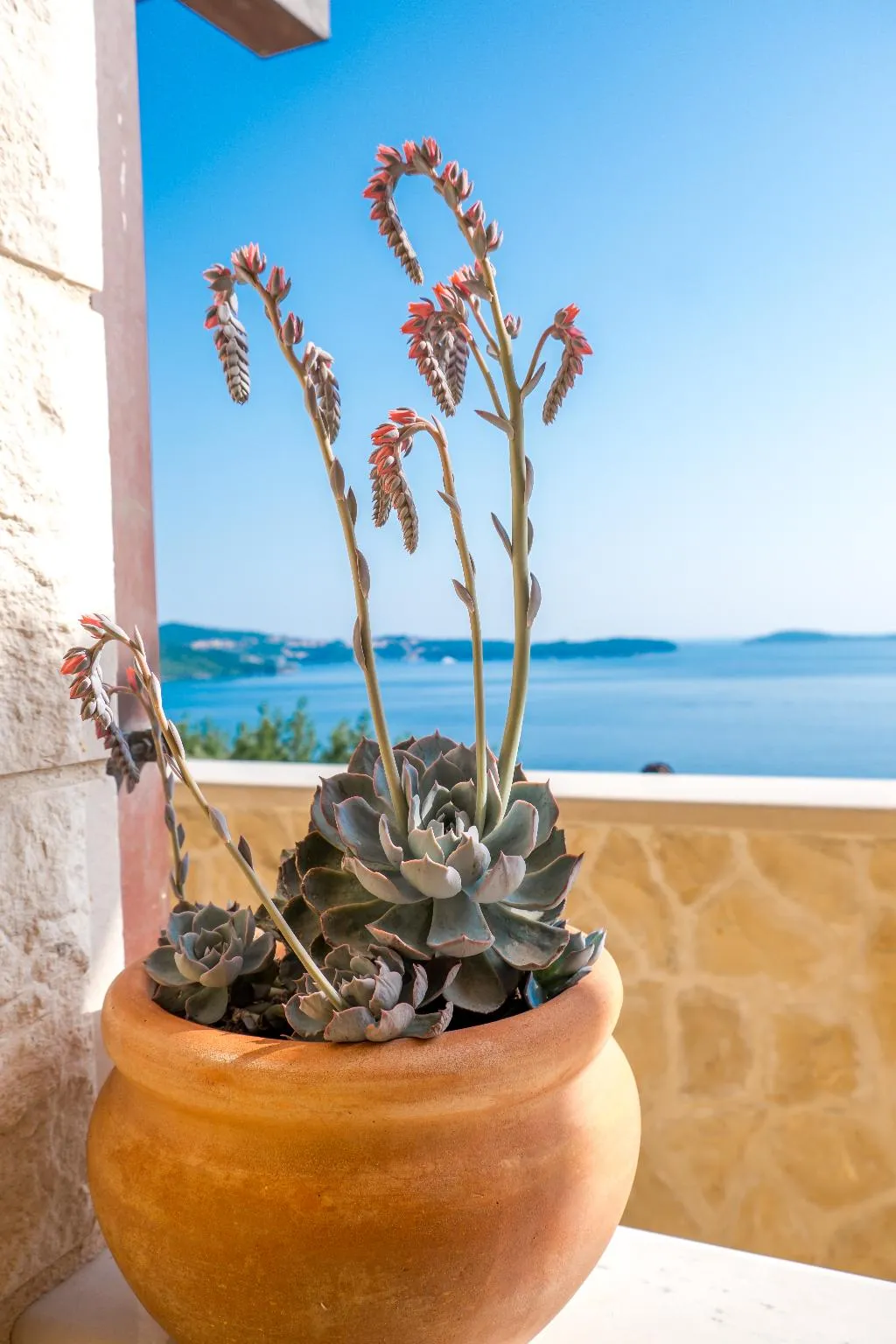 APARTMENT POOL VIEW Room, Villa Sunset, Dubrovnik