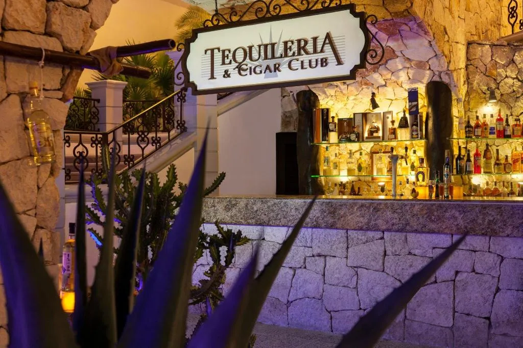 Bar, Hyatt Vivid Playa Del Carmen - Adults Only, Playa Del Carmen