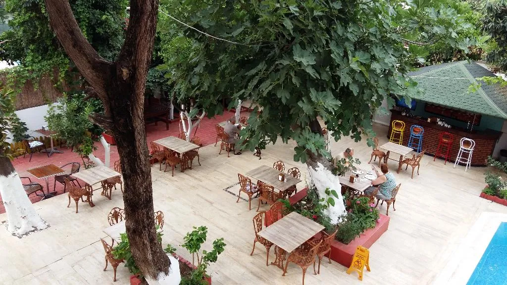 Terrace, Kaliptus Hotel, Antalya